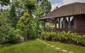 Secluded Jungle Villa
